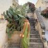 European and American Style Sleeveless Green Satin Backless Dress with Tie-Up Skirt Maix Dress New