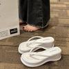 2025 Summer and Autumn New Outer Wear Holiday Slope Heel Cool Slippers French Thick Sole Heightened Thick Sole Foot Flip-flops Shoes Women