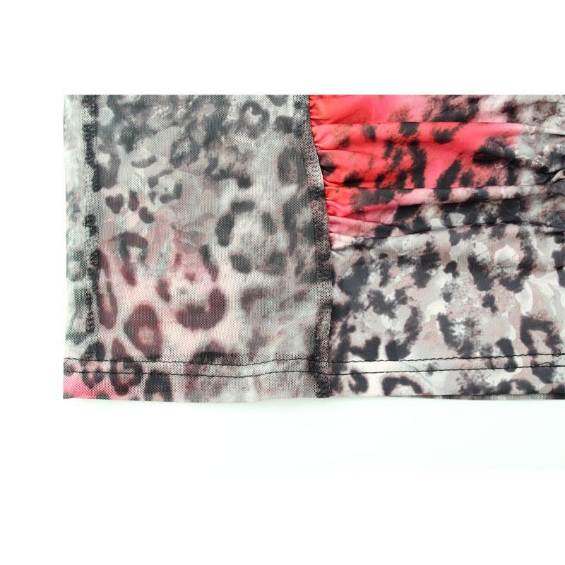 Women's Fashion Print Pleated Sexy Mesh See-through Long Sleeve Slim Dress