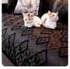 Light Luxury High-end Sofa Cover with Anti Slip Fixed Sofa Pad New Skin Friendly Touch All Season Universal Cover Cloth Towel