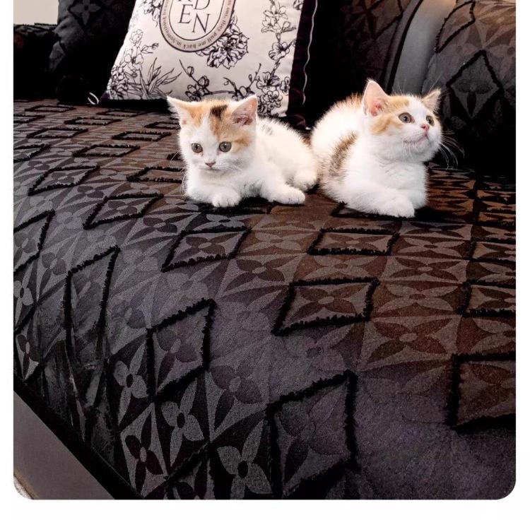 Light Luxury High-end Sofa Cover with Anti Slip Fixed Sofa Pad New Skin Friendly Touch All Season Universal Cover Cloth Towel