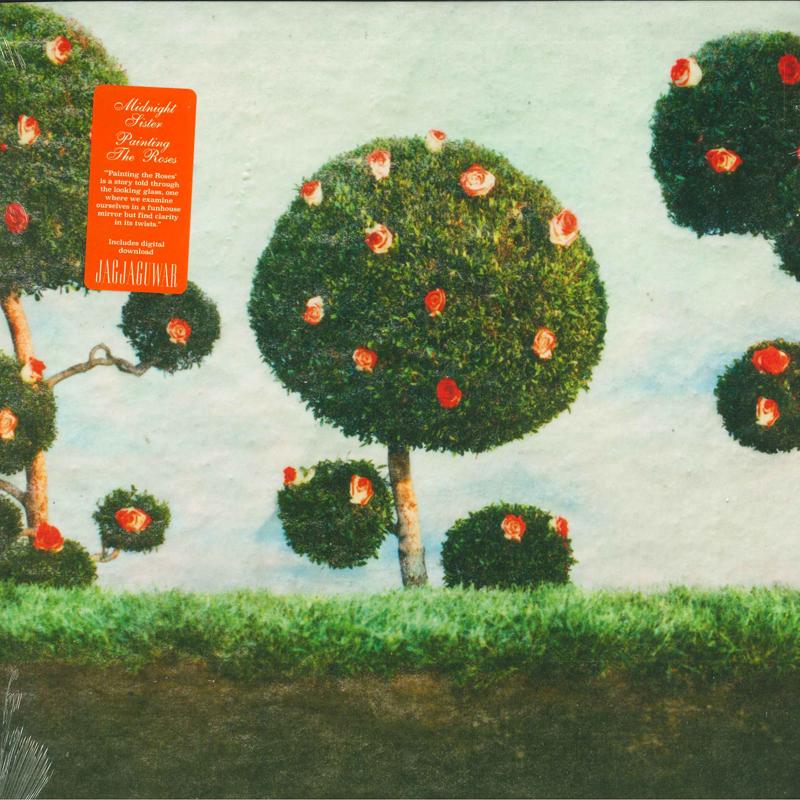 

LP Пластинка MIDNIGHT SISTER - Painting The Roses JAG370 Jagjaguwar 2021 US Рок