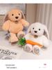 Cute Lop-Eared Rabbit Plush Doll - Soft Birthday Gift Toy