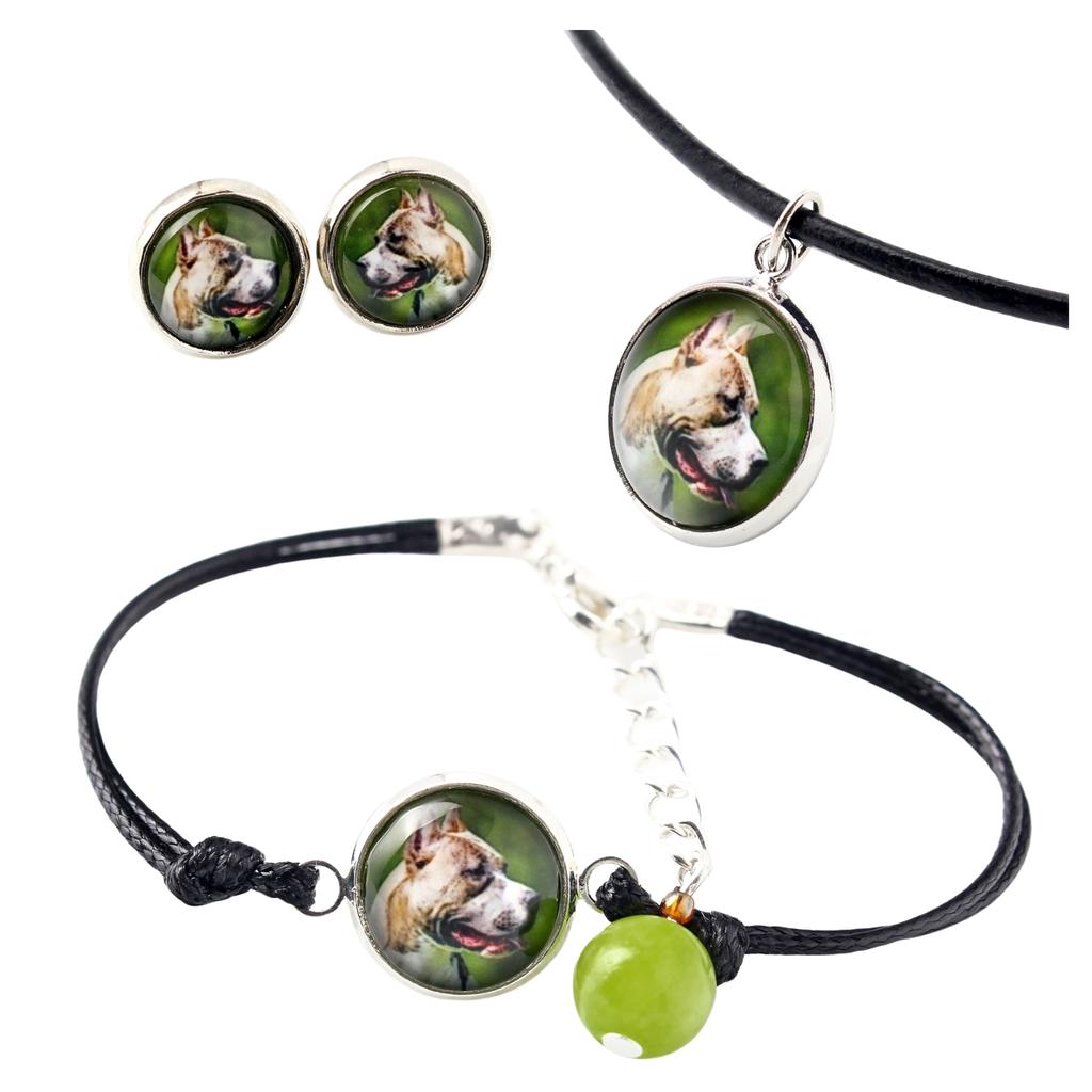 Pit Bull, American Pit Bull Terrier, Pitbull Terrier, APBT – A set of jewelry in a box, necklace | Art-Dog