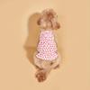 Colorful Polka Dot Dog Girl Sundress, Multi-Color Breathable Small Pet Dress, Cute Sleeveless Puppy Clothes Summer Apparel Skirt