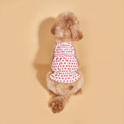 Buntes Tupfenmuster Hunde-Sommerkleid für Mädchen, Mehrfarbiges Atmungsaktives Kleines Haustierkleid, Niedliche Ärmellose Welpenkleidung Sommerbekleidung Rock