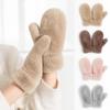 1pair Windproof Imitation Rabbit Fur Gloves Thickened Winter Mittens Simple Plush Gloves Women