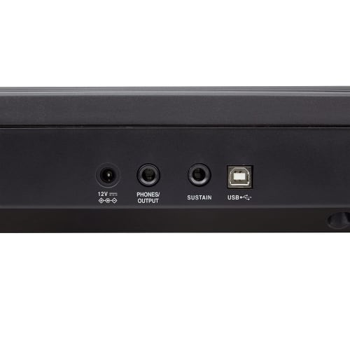 Roland GO-88P GO:PIANO (88-Key Entry-Level Keyboard with Original Case)