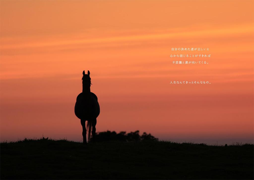 Umaletter Photo & Poem 100 Heartwarming Messages from Horse Breeding Areas