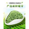 Ceai Verde Ceai Biluochun Ceai de Primăvară Organic Proaspăt Chinezesc Bi Luo Chun 250g Cutie