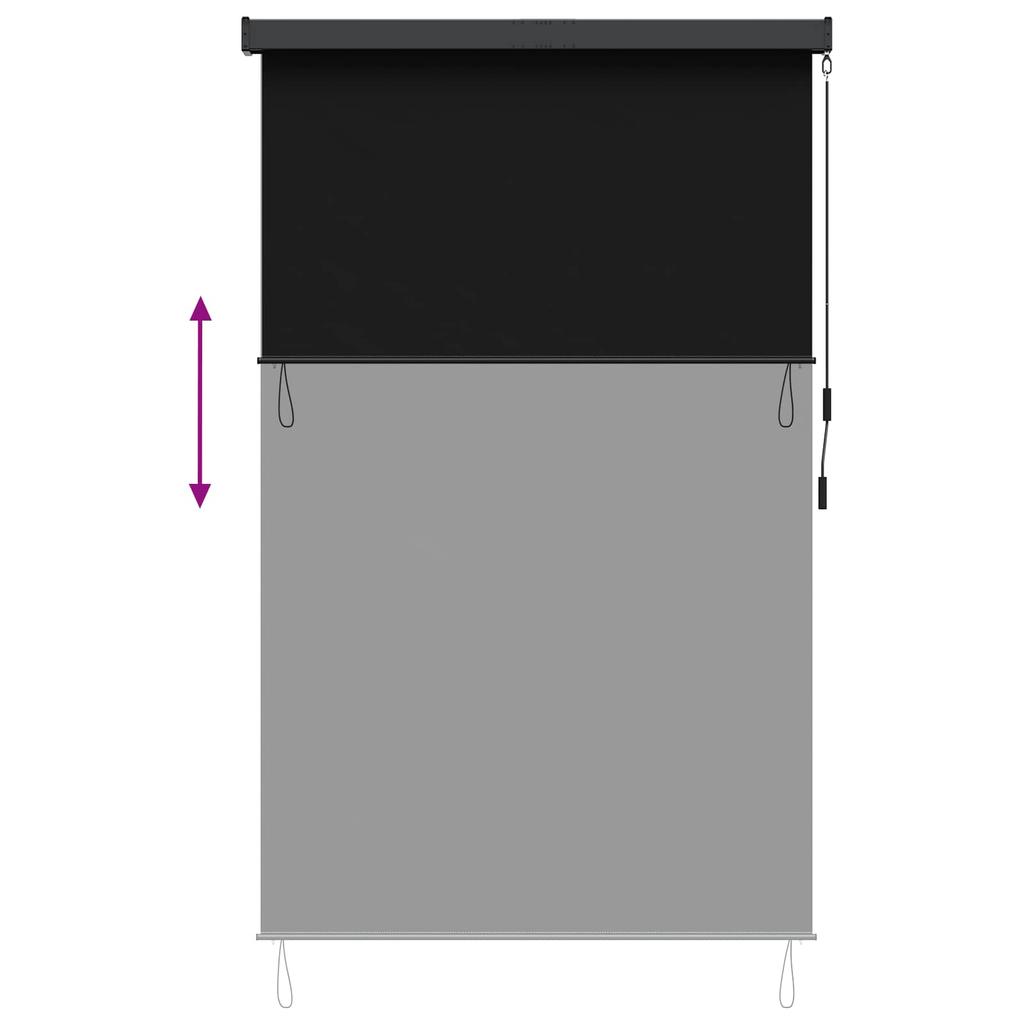 Black Outdoor Roller Blind 60 x 250 cm Fabric and Aluminum