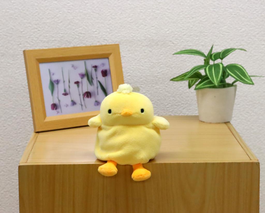 Shinada Soft and Squishy Chick