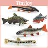 Realistic Plastic Fish Model Set Featuring Colorful Red Spot Salmon Piranha And Yarrow Fish
