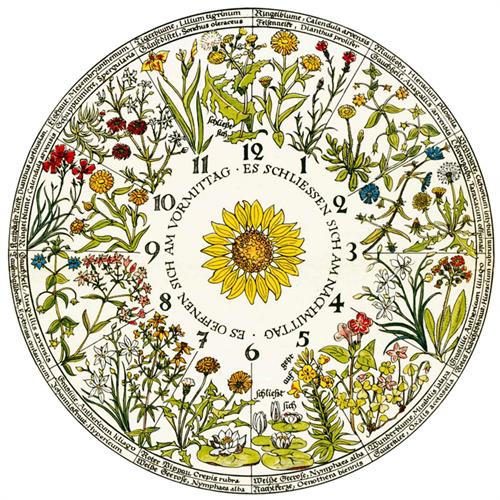Kreative Bohemia Muster Teller Keramik Wandbehang Dekorative Hintergrundplatte Nordischer Stil