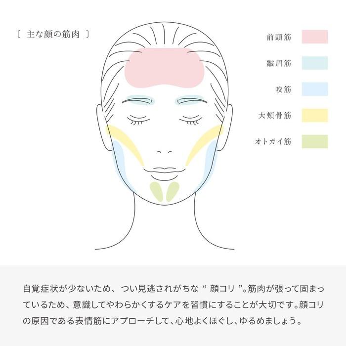 MTG ReFa RHYTHM Face Roller Beige Wood (x 1)