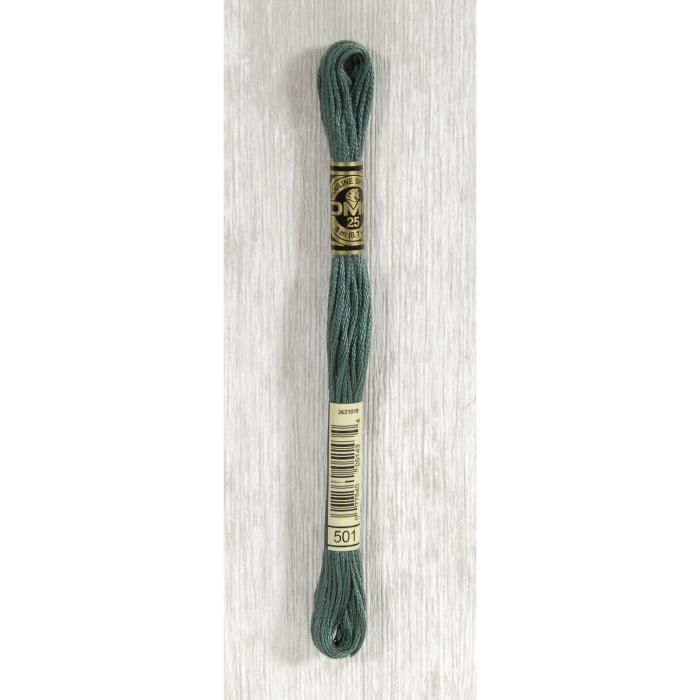 DMC Fil Mouliné 501