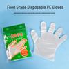 Disposable Plastic Gloves