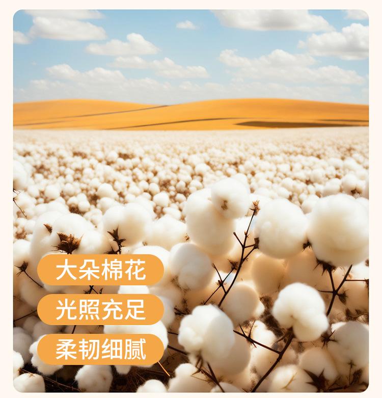 All Cotton Xinjiang Cotton Handmade Quilt Core