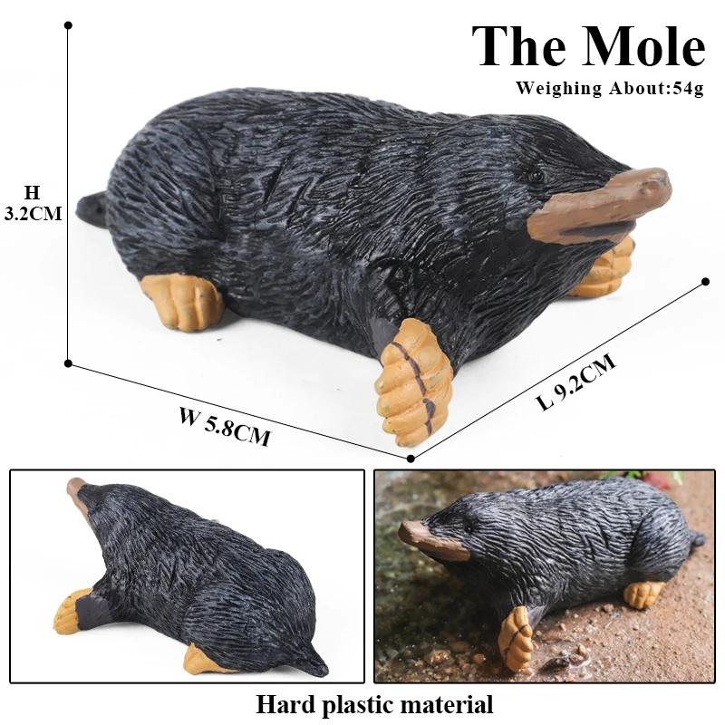 Oenux Simulation Wild Muroid Animal Squirre Mouse Sugar Glider lMarmot Rat Chinchilla Model Action Figures Lovely PVC Kids Toy