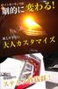 Boo Boo Material on George Setagaya S25 Turn Uniform 12V Constant Current Two No Resistors [Featured Tokoro's Base] Amber/Orange Signals, 150-Degree