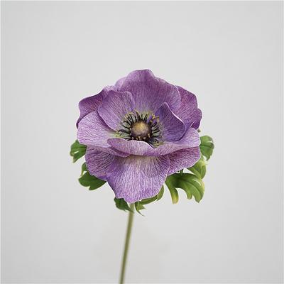 Home Wedding Bouquet Floral Artificial Anemone Touch Flowers Flower Arrangement Nodic Real Decor Fake Branch Bridal PU Rose