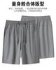 [Jinammonia Ice Silk Shorts] 26 Summer Casual Sports Loose Shorts Five Cent Pants