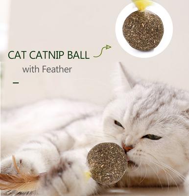 mint cat toy