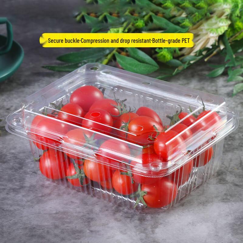 Einweg-Lebensmittelbehälter mit Deckeln