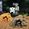 Reptile Cave Ornament: Rock Resin Hideout for Geckos, Lizards, Snakes, Frogs, and Spiders