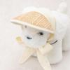 [Pet] Rattan Style Sun Cap