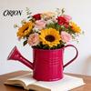 Ergonomic Handle Pouring Tool Metal Watering Can for Outdoor Plants, Small Kettle with Colorful Iron Floral Container Succulents Garden Flowers,