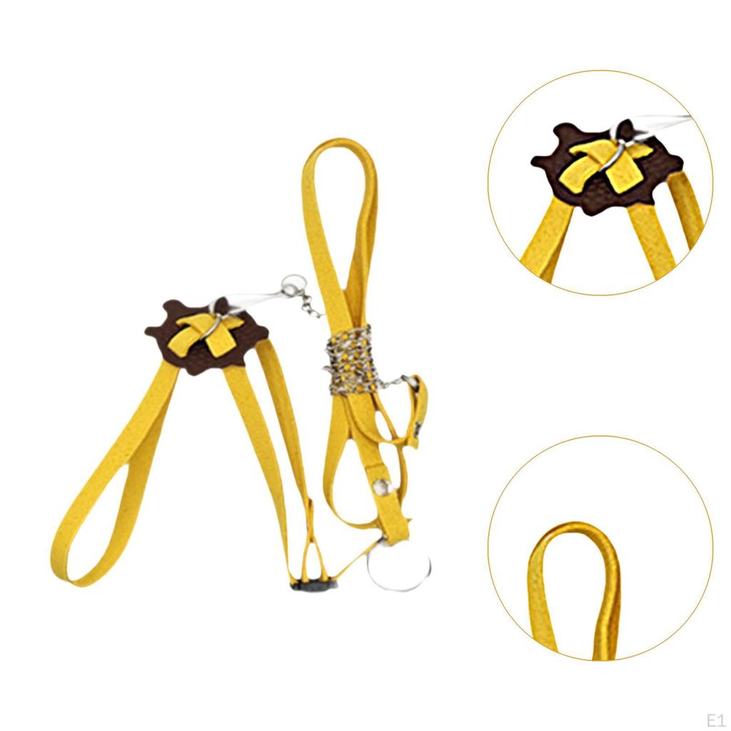 Postroj pro plazy Vodítko Trakční pás pro mazlíčky Nastavitelné příslušenství Lano pro malá zvířata pro