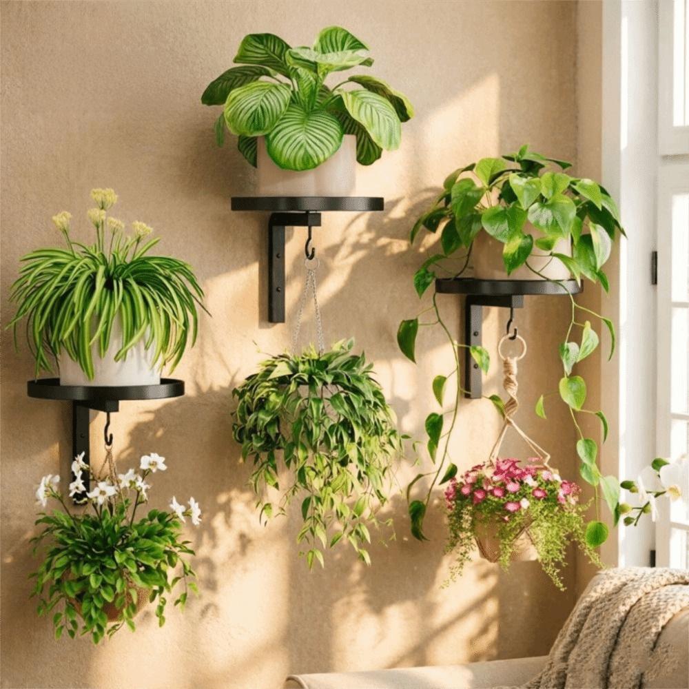 Raised Tray Edge Plant Display Stand Carbon Steel Flower Pot Rack  Window Display