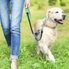 Oxford Cloth Pet Waste Bag Dispenser with Carabiner Clip Animal Waste Collection Pouch  Pet