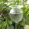 Automatic Plant Watering Bulbs Glass Watering Device Bird Cat Pig Flower Swan Watering Globe Garden Plant Drip Irrigation System