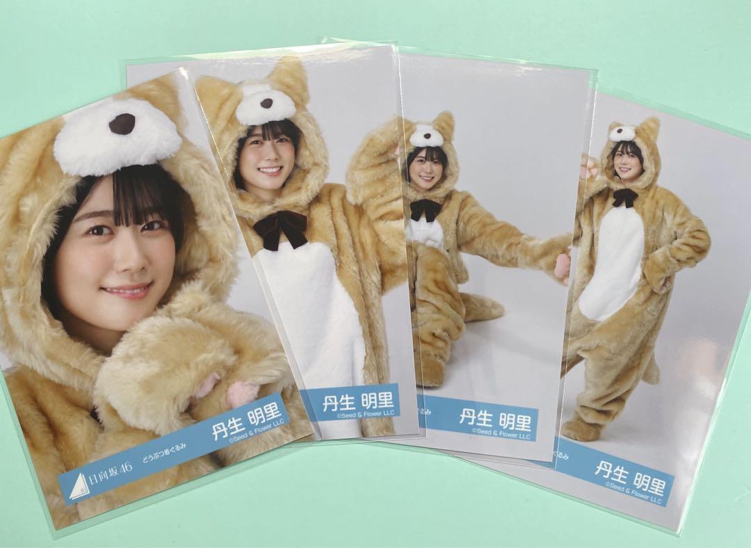 

[USED] Hinatazaka46 Akari Nibu Animal Costume Complete Set