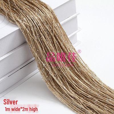 Exclusive Silver Thread Curtain 1x2m - Encrypted Hanging Partition Decoration