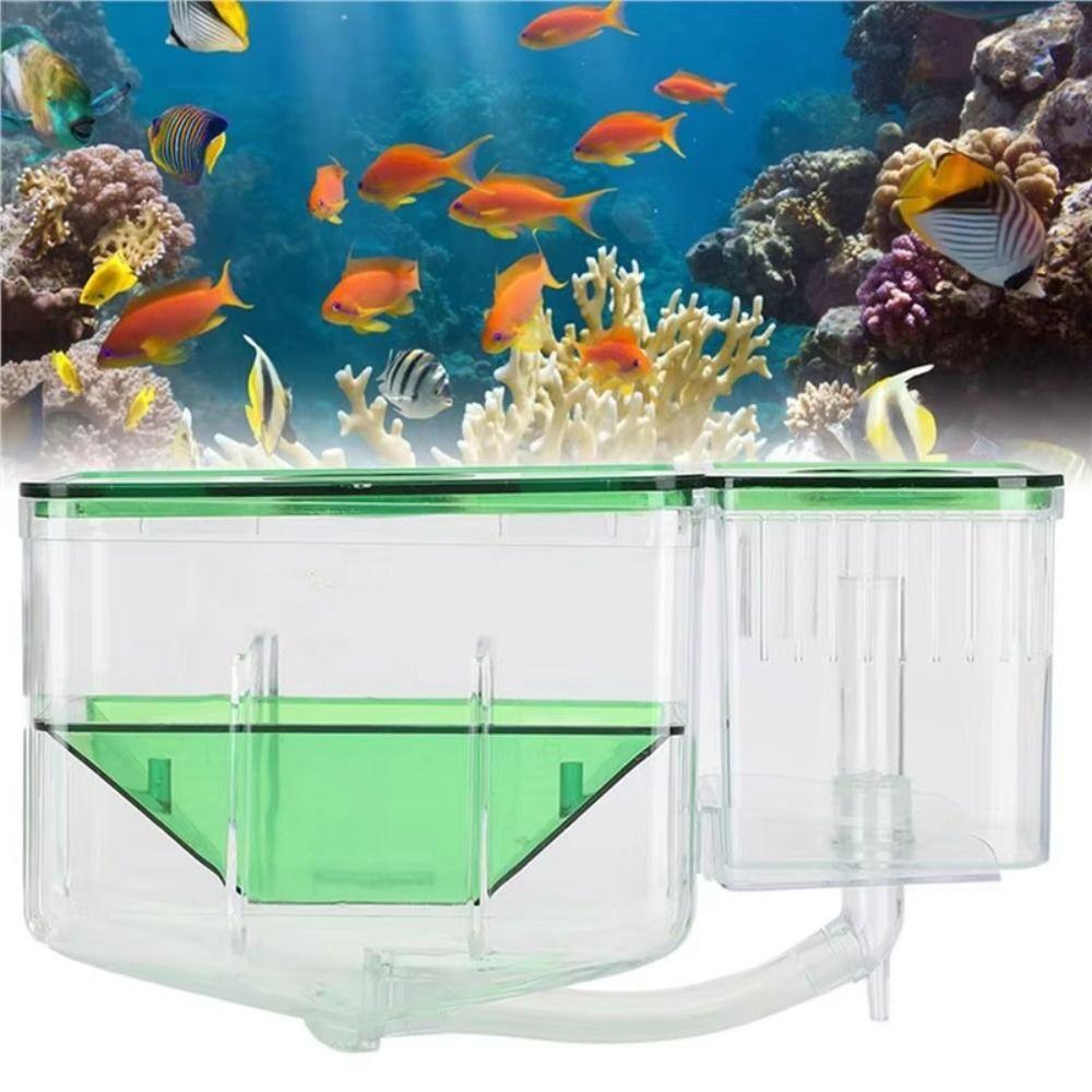 Transparent Fish Tank Hatchery Slotted Design Breeding Isolation Box  Isolation