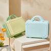 Lishen Portable Storage Cosmetic Case