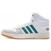 Hoops 2.0 Mid 'White Green' Sneakers EE7385