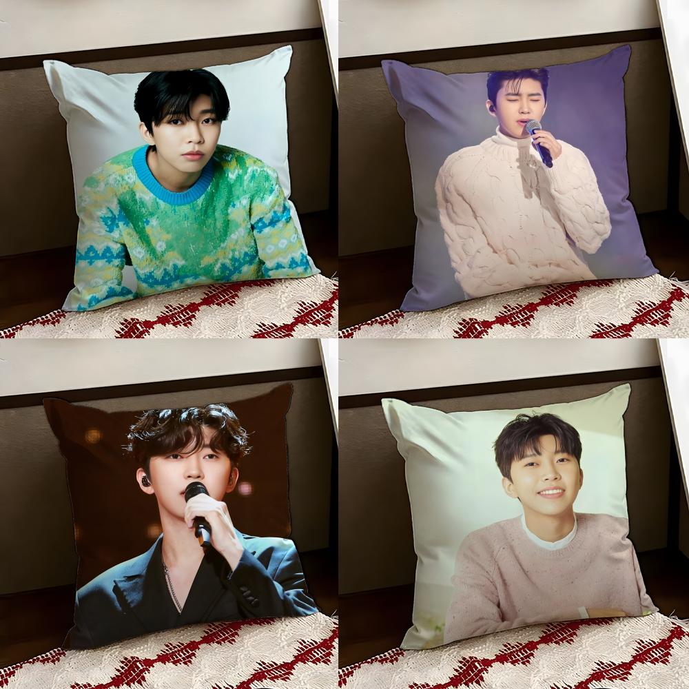 LLim Young WWoong Cushion Cover Reversible Soft Durable Pillow Cover Home Car MultiScene Use for Daily Comfort