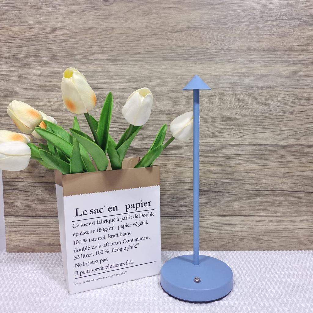Drop Shipping Creative Table Lamp for Restaurant Rechargeable Wireless Touch Lamp Small Night Light Rechargeable USB-C Desk Lamp