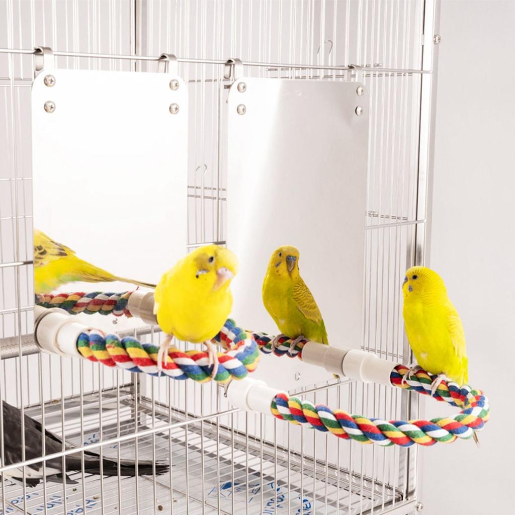 canary bird accessories