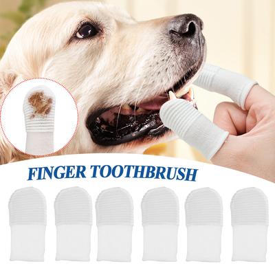 Köpek – Köpek bakım ürünleri