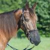 With Tassels Fly Protector Mask Breathable Mesh Horse Fly Cover Equine Mask  Outdoor Grazing