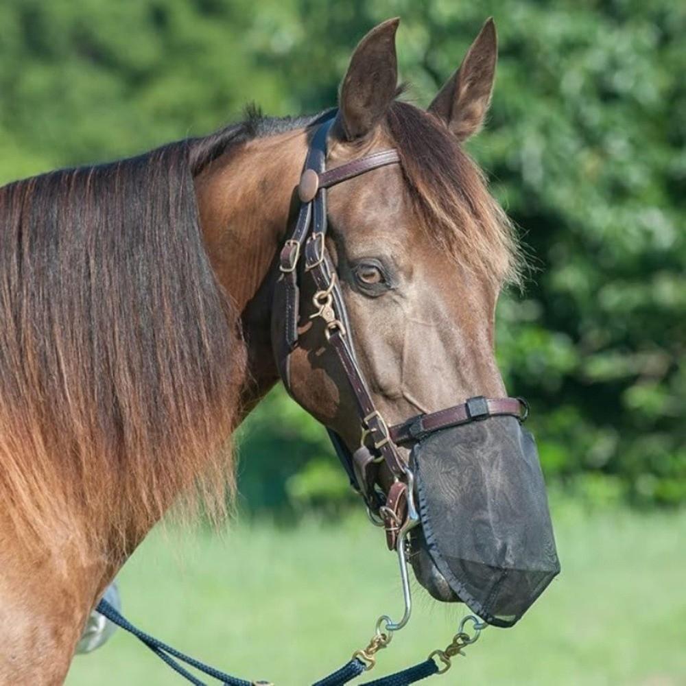 With Tassels Fly Protector Mask Breathable Mesh Horse Fly Cover Equine Mask Outdoor Grazing