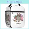Kids Pusheen Lunch Bag With Cartoon Design And Portable Handle For School And Travel