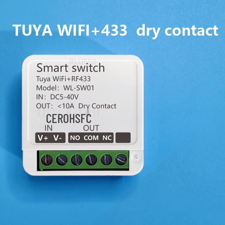 Tuya WiFi Smart Switch: 12V/24V Constant Voltage with WiFi and 433 Remote Control for Door Lock or Light Modification
