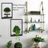 Black Picture Frame Wall Plant Holder Stylish Display Stands  Outdoor