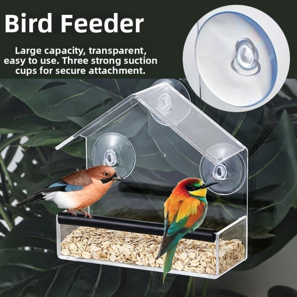 Tool-Free Bird Feeding Bowl Dual Seed Tray Wild Birdfeeder New Window Bird Feeder Bird Viewing